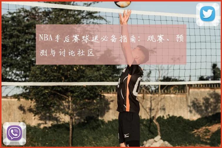 NBA季后赛球迷必备指南：观赛、预测与讨论社区
